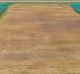 Ranchi pitch for third Test India v Australia. Credit Andrew Wu