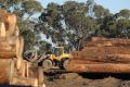 Australian Sustainable Hardwoods' Greenmill site in Heyfield.