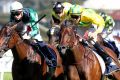 11032017. Sydney Races. Jockey Tye Angland rides Heavens Above to win race 7, The Coolmore Classic, during Sydney Racing ...