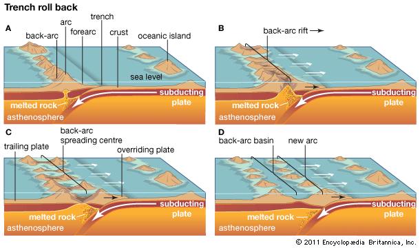 The trench “roll back” process of back-arc basin formation.