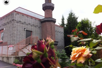 Rose bushes bloom outside the Islamic Center of Portland. The center and its imam, Mohamed Sheikh Abdirahman Kariye, are long-time targets of government harassment and oppression. (Facebook / Islamic Center of Portland)