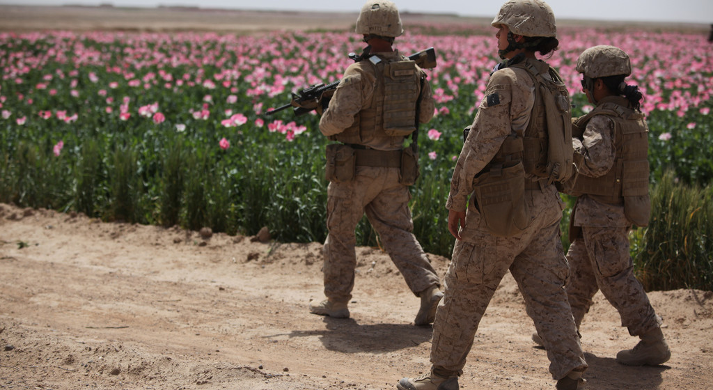 U.S. Marines assigned to the female engagement team (FET) of I Marine Expeditionary Force (Forward) conduct a patrol alongside a poppy field while visiting Afghan settlements in Boldak, Afghanistan, April 5, 2010.  (DoD / Cpl. Lindsay L. Sayres, U.S. Marine Corps)