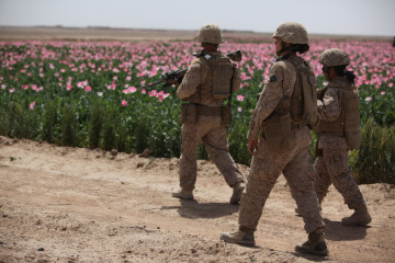 U.S. Marines assigned to the female engagement team (FET) of I Marine Expeditionary Force (Forward) conduct a patrol alongside a poppy field while visiting Afghan settlements in Boldak, Afghanistan, April 5, 2010.  (DoD / Cpl. Lindsay L. Sayres, U.S. Marine Corps)