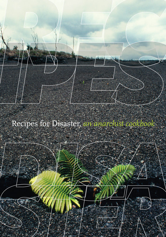 Photo of 'Recipes for Disaster' book cover