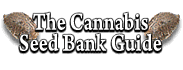 Cannabis Seed Bank Guide