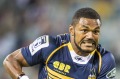 Wallabies and ACT Brumbies winger Henry Speight will chase Olympic gold and the Super Rugby title next year.