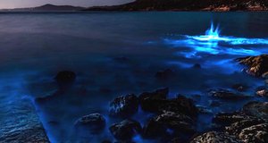 Tasmania Beach Glows