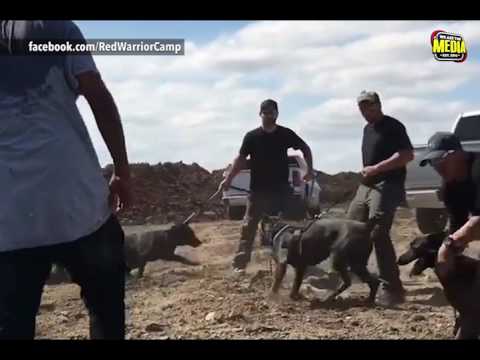 Violence Erupts at Standing Rock Reservation