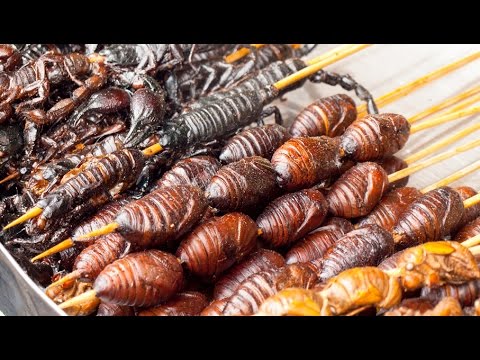 Top 5 DISGUSTING Foods in CHINA