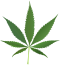 WikiProject Cannabis