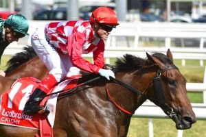 Wet query: Catchy winning the Blue Diamond but trainer David Hayes doesn't know if she will handle the wet track in ...