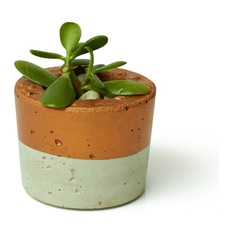 Concrete Planters - Metallics - Indoor Pots And Planters