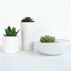 Raw White Concrete Planter Trio - Indoor Pots And Planters