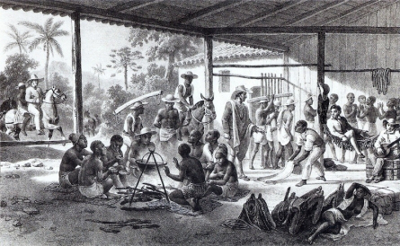  As slaves escaped from Spanish and Portuguese captors they either joined indigenous peoples or eked out a living on their own. Called Maroons (from the Latin-American Spanish word cimarrón: “fugitive, runaway”), these African refugees escaped slavery in the South America and formed independent settlements. click on image to view source.
