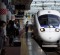 A 885 series Kamome limited express service train arrives at Hakata Station in Fukuoka.