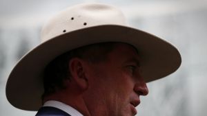 'Now is the time to have your voice heard.' Deputy Prime Minister Barnaby Joyce.