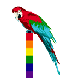 A parrot on a rainbow strip