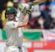 Overachiever: Steve Smith's extended knock was one of true significance.