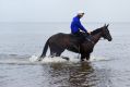 Going swimmingly: Winx enjoys some recovery time at the beach following her win in the George Ryder Stakes.