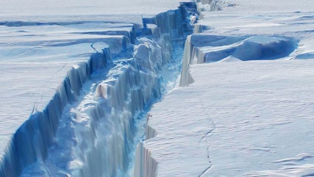 A crack in the Larsen C ice shelf grew 17 kilometres in December. 