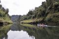 The Whanganui River. 