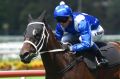 11032017. Sydney Races. Jockey Kerrin McEvoy rides Winx in an exhibition gallop, during Sydney Racing at Rosehill ...