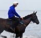 Racehorse Winx ridden by trackwork rider Ben Cadden as they walk through the water at 'Plane Spotting' Beach near Sydney ...