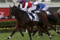 Wet tracker: Our Invanhowe takes out the Doomben Cup last year and Lee Freedman thinks he will enjoy the heavy track at ...