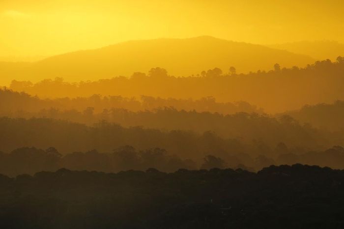 Pic of the week Sunlight Merimbula