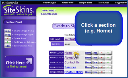 SiteSkins - Choose Section