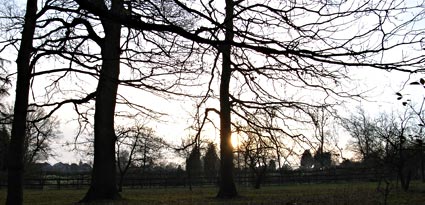 Syon Park, Amersham to Chalfont St Giles walk, The Chilterns, Buckinghamshire, Jan 2006