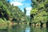 Whanganui River, New Zealand