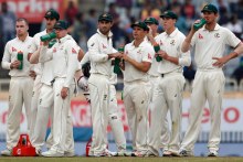 Australian cricket team (ABC Sport)