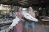 people in a demountable home with crocodile heads