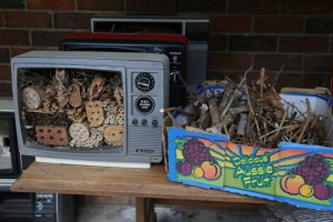 Wood and other natural materials are used to fill the televisions to make nests for the bees (ABC News: Kathleen Calderwood)