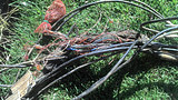 NBN alternative: Is Australia's copper network fit for purpose?