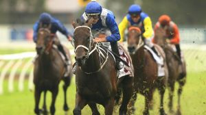 Donkey-licked: Hugh Bowman rides Winx to win the George Ryder Stakes.