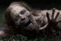 A zombie in the television series <i>The Walking Dead</i>.