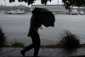 A walker gets caught in a rain squall at Jubilee Park along Rozelle Bay.