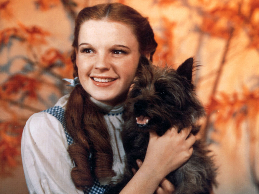 Judy Garland as Dorothy Gale in The Wizard of Oz (1939).