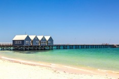 The Busselton jetty is under threat from "termites of the sea".