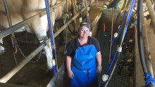 Dairy farmer Paula Menzel