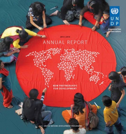 undp global report 2014