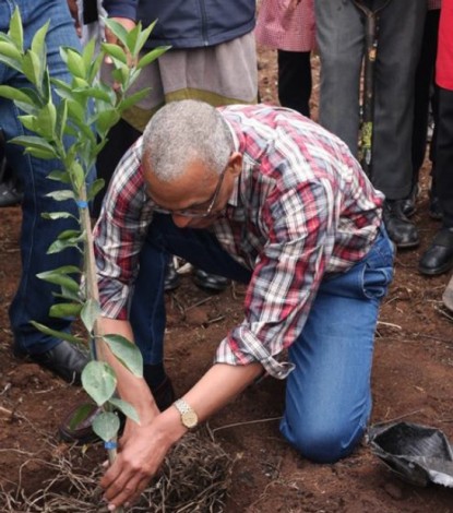 Israel Dessalegne, UN Resident Coordinator, plants a tree during an Outreach Initiative on UN Day