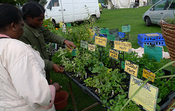 Urban Green Fair, Brockwell Park, Brixton, south London, an independent green fair for London, powered by solar and wind energy, 5th September 2010