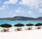 All you could wish for: Whitehaven Beach's powder-soft silica sand and clear blue sea.
