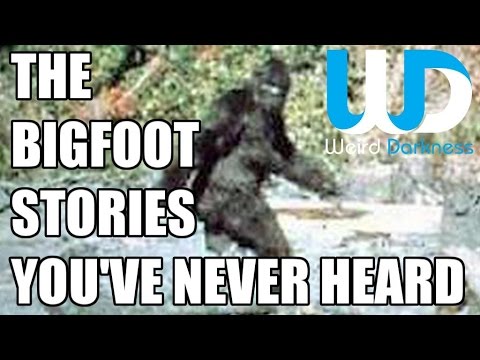 "The Bigfoot Stories You've Never Heard" #WeirdDarkness