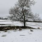 The Met Office has issued a weather warning for the north of England