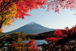 Watching the seasons change is one of the joys of visiting Japan in the off-season.