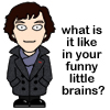 staceyuk: Funny Sherlock icon (Default)